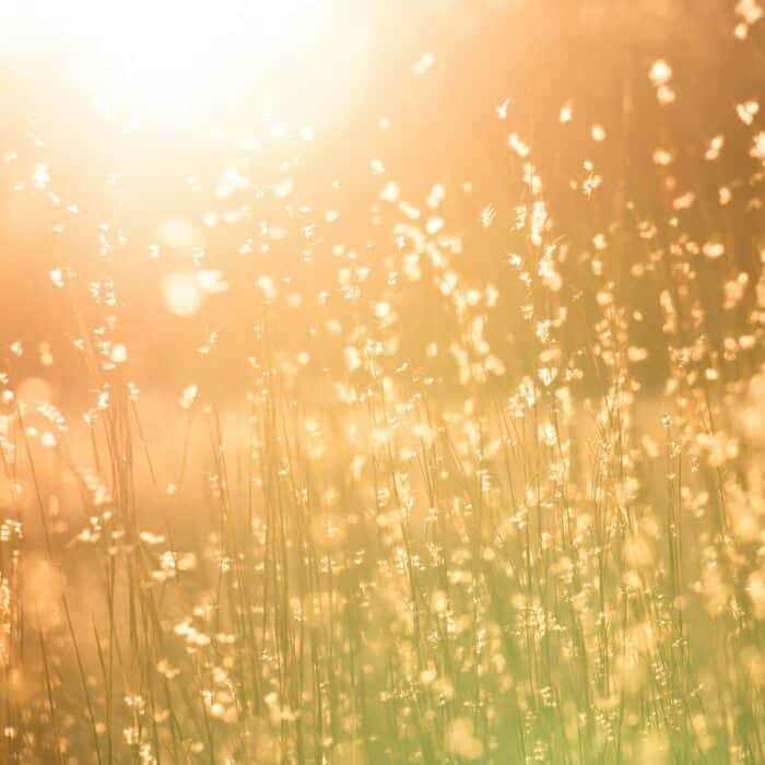 Charging Crystals with Sunlight