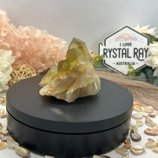 Citrine Pineapple Cluster 135g