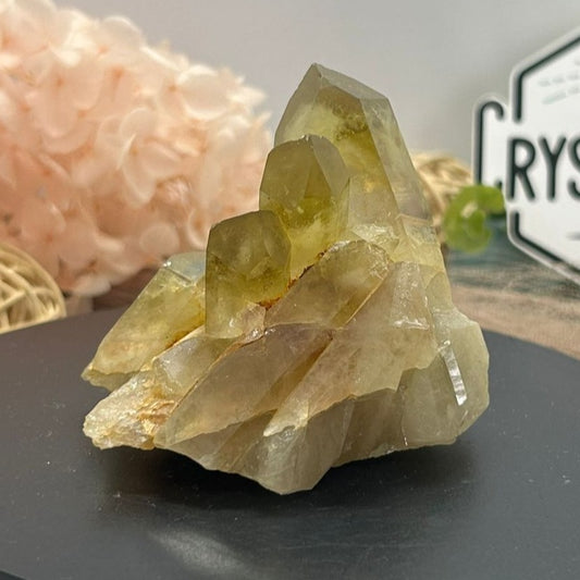 Citrine Pineapple Cluster 135g