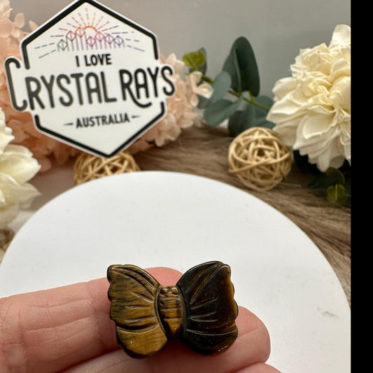 Tigers Eye ~ Mini Butterfly carvings