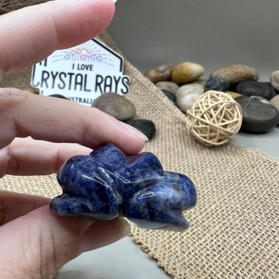 Sodalite Frog Carving