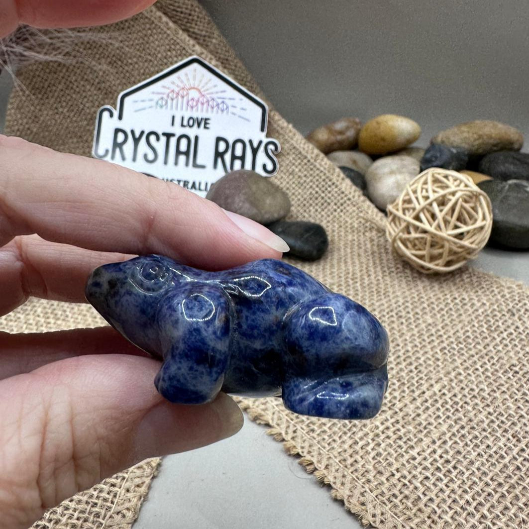 Sodalite Frog Carving