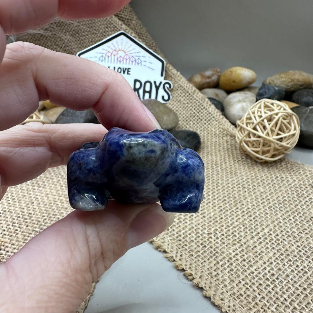Sodalite Frog Carving