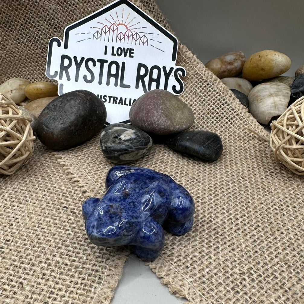 Sodalite Frog Carving