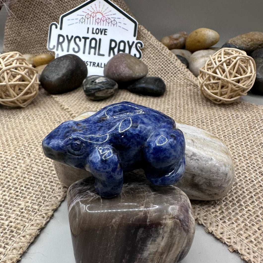 Sodalite Frog Carving