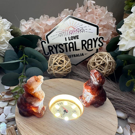 Fire Quartz~ Wolf Carvings