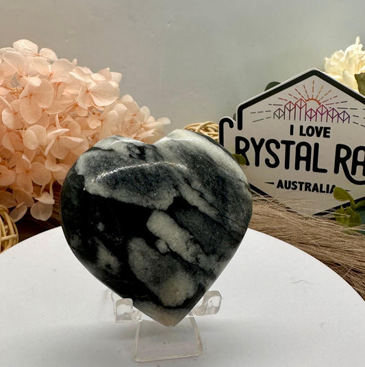 Shell Jasper ~ Heart