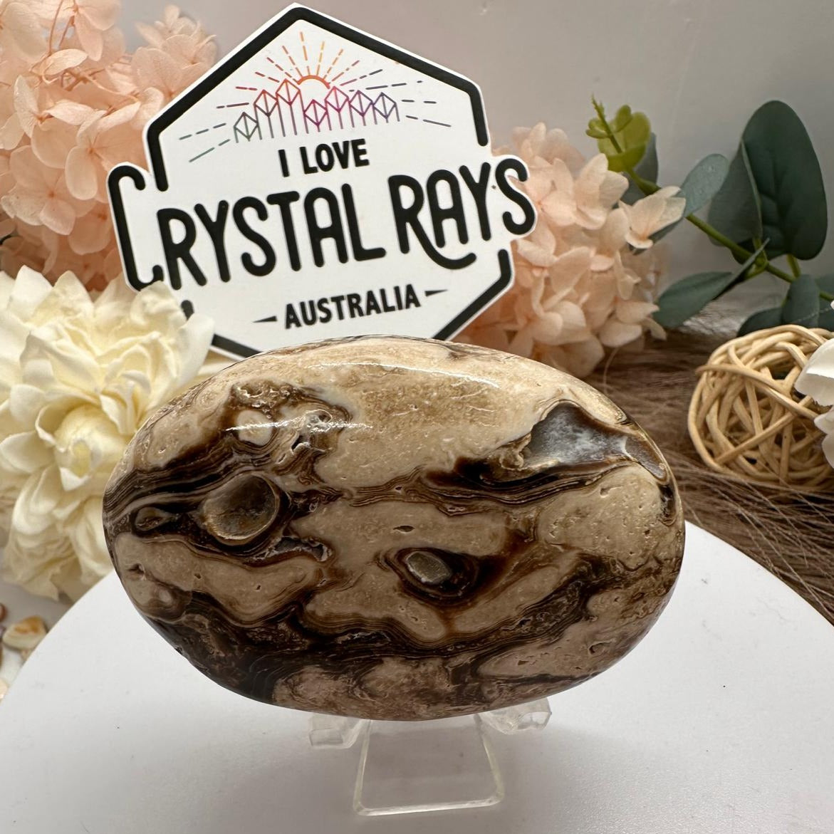 Chocolate Calcite palm