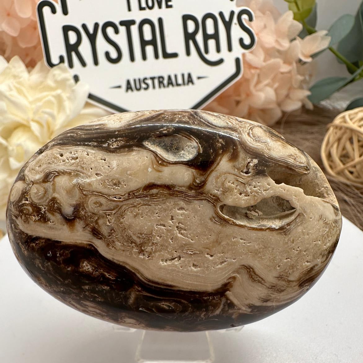 Chocolate Calcite palm