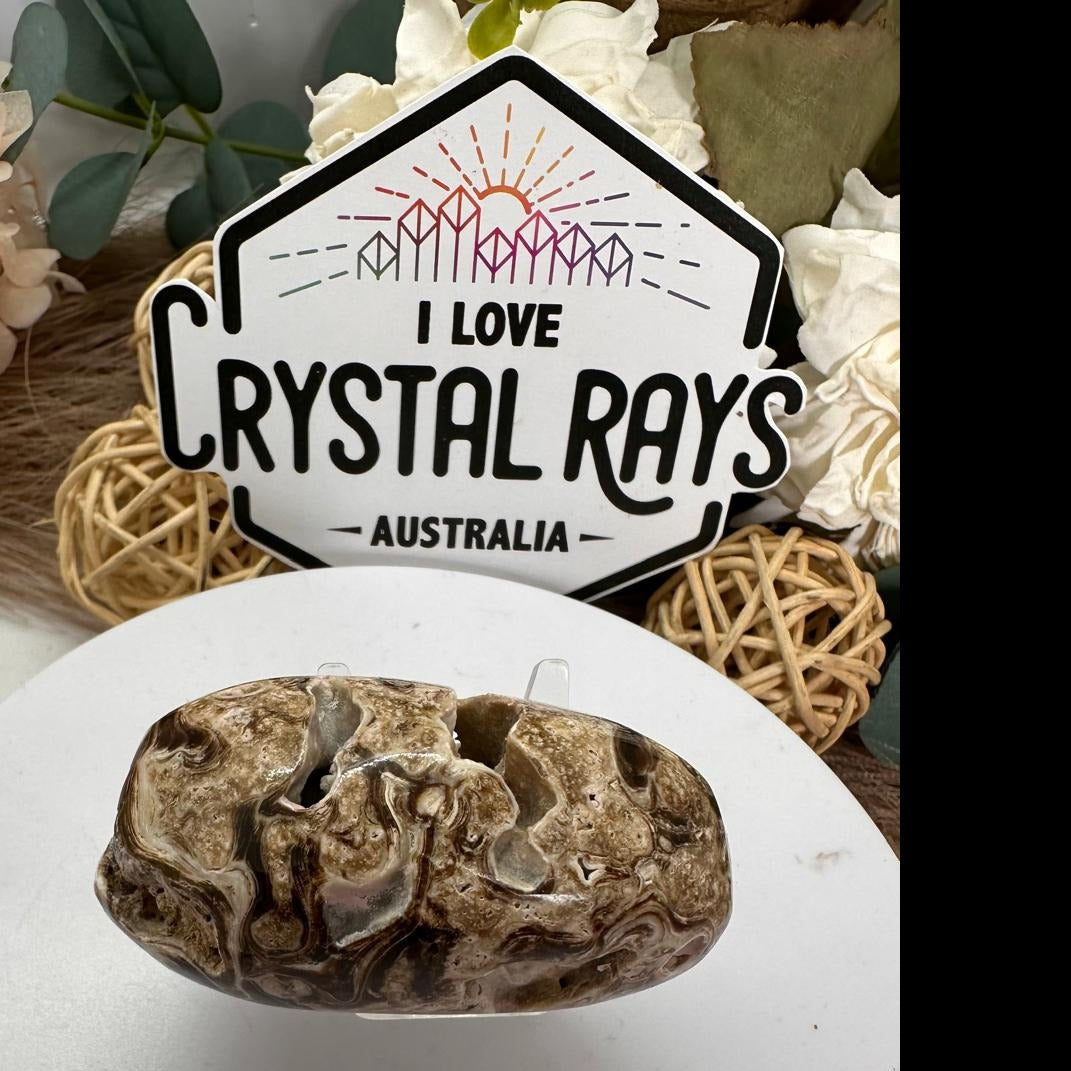 Chocolate Calcite palm
