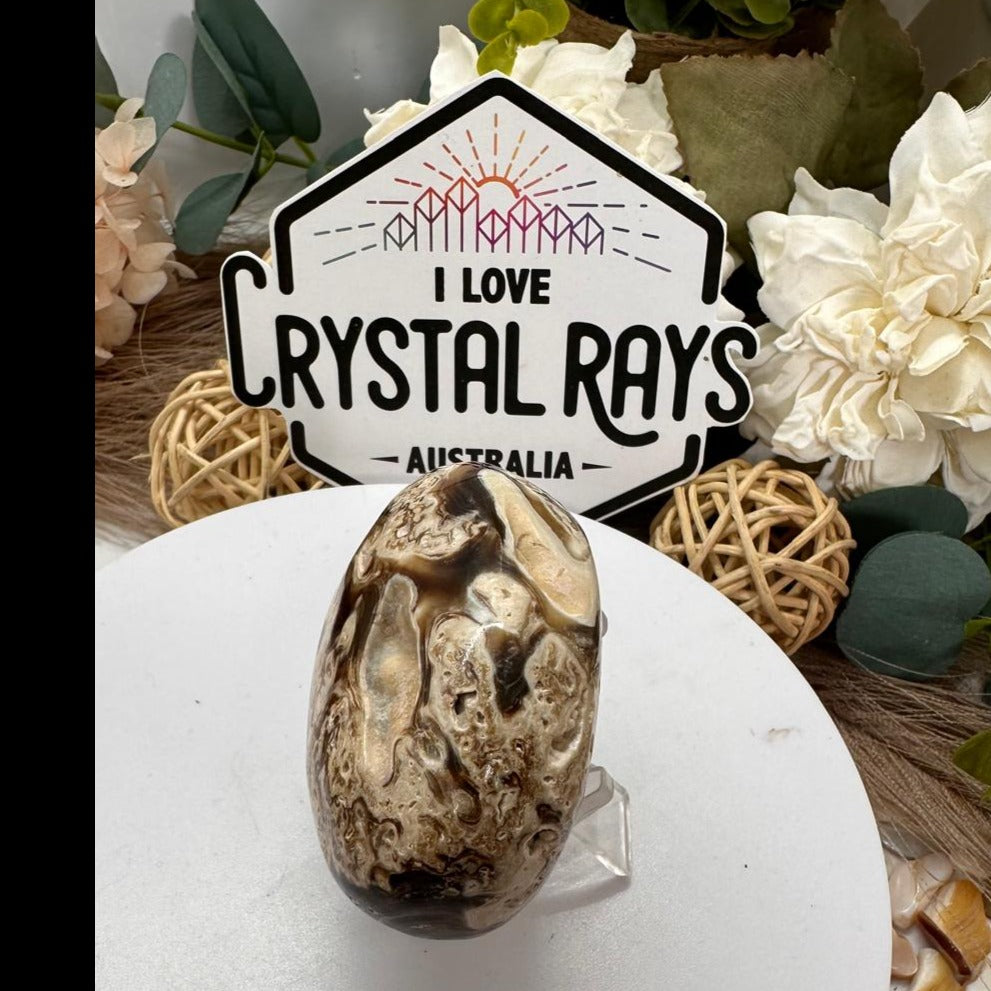 Chocolate Calcite Palm