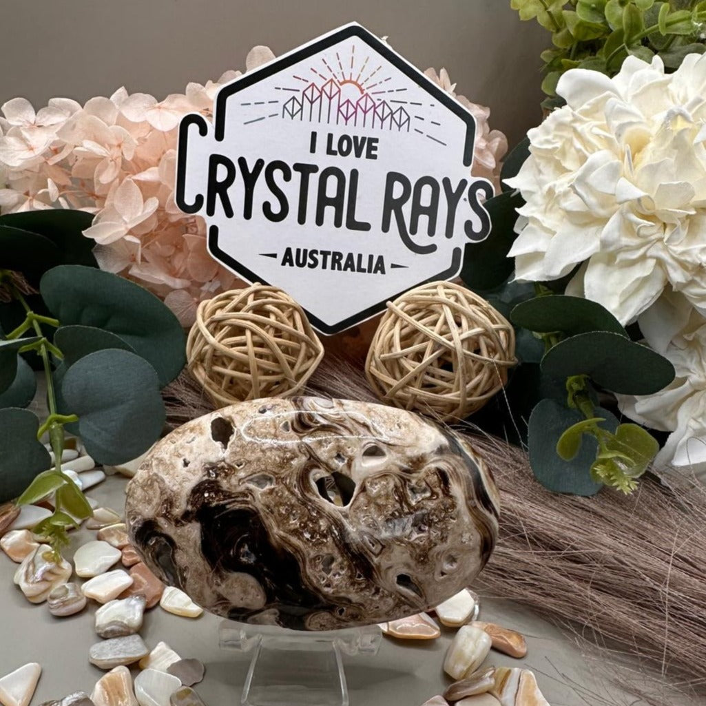 Chocolate Calcite Palm