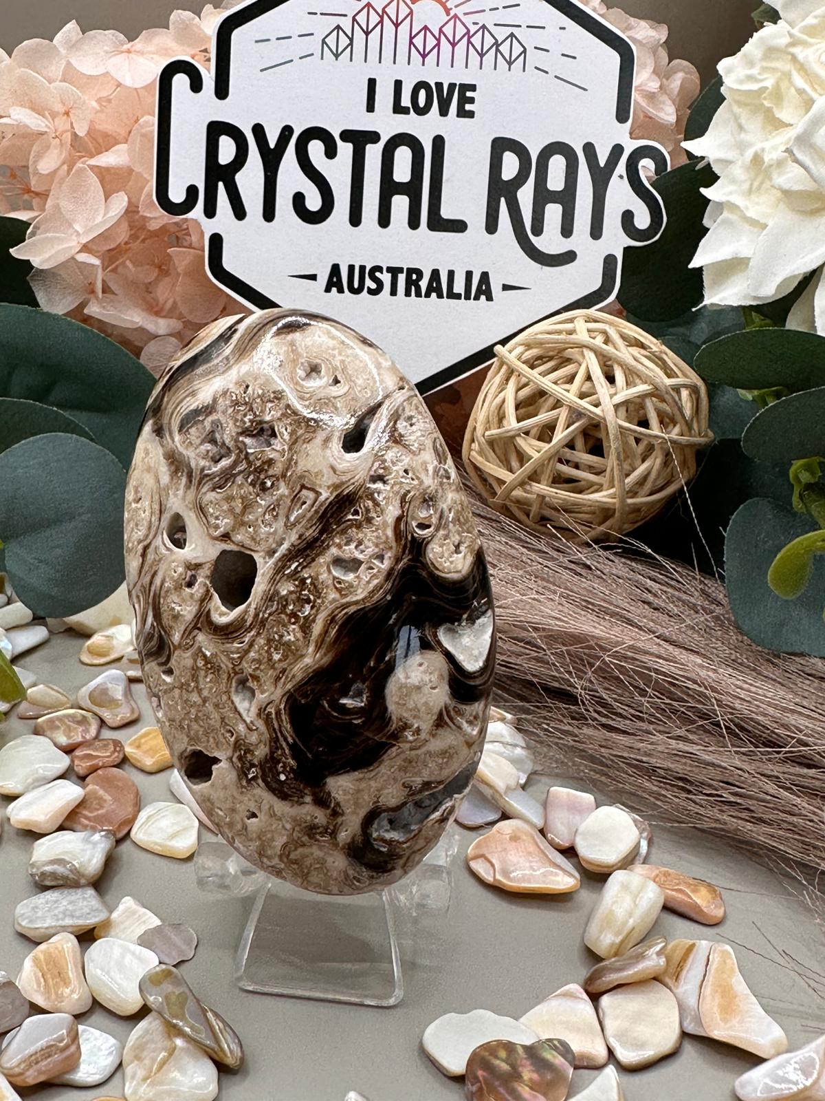 Chocolate Calcite Palm