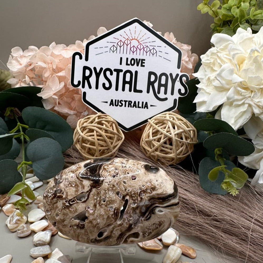Chocolate Calcite Palm