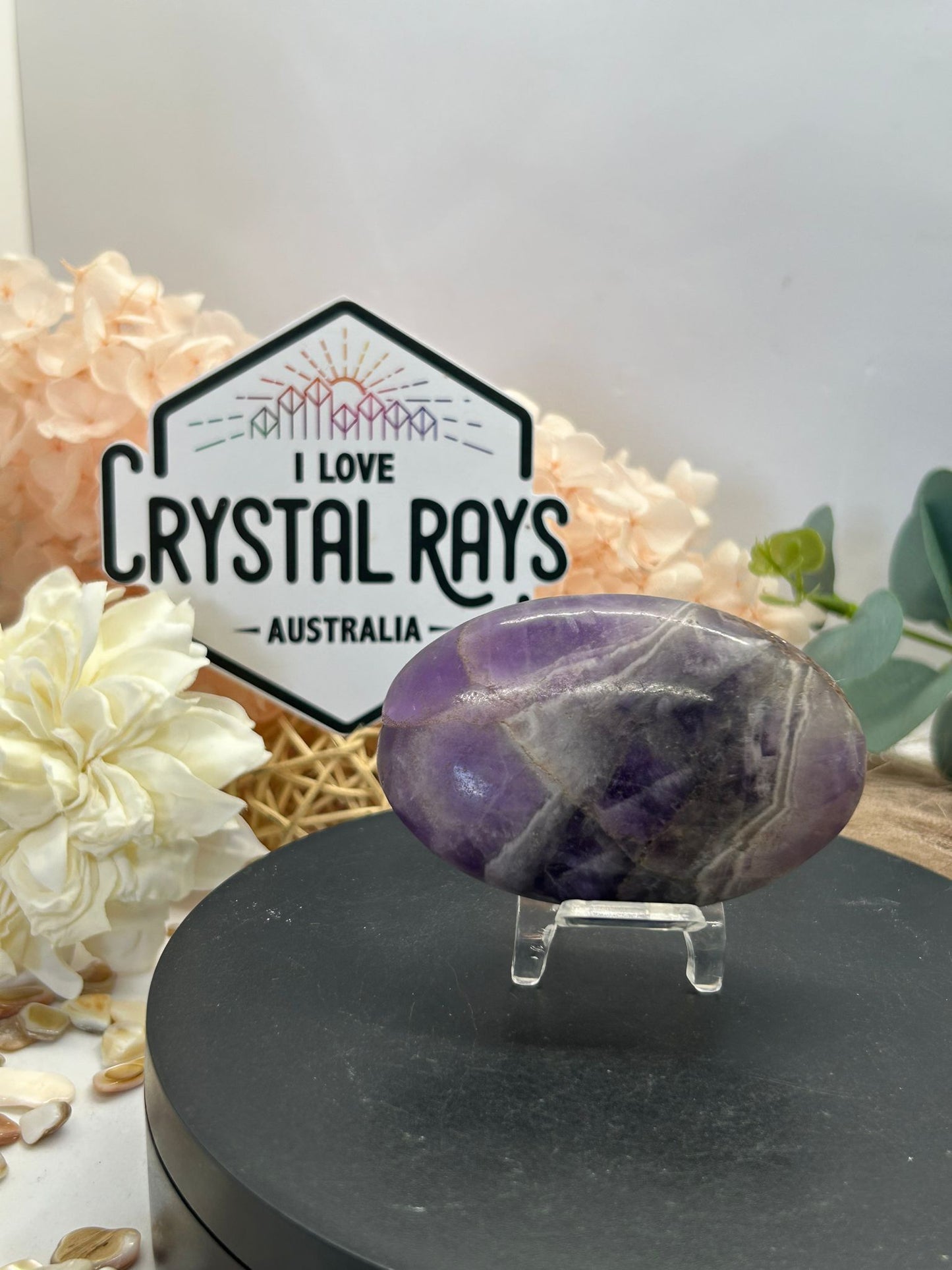 Dream Amethyst Palm
