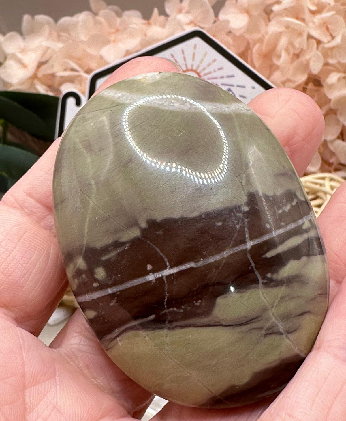 Liver Jasper Palm
