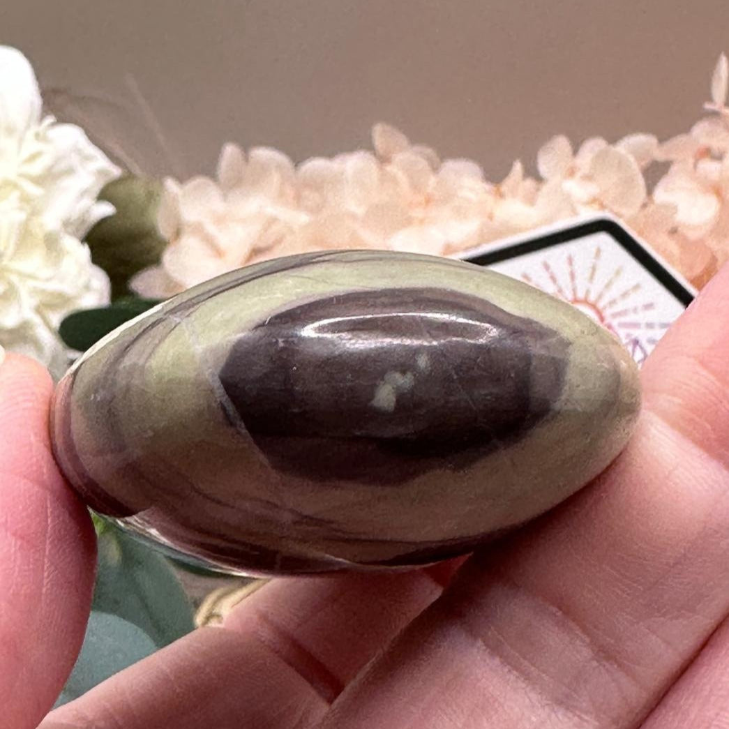Liver Jasper Palm