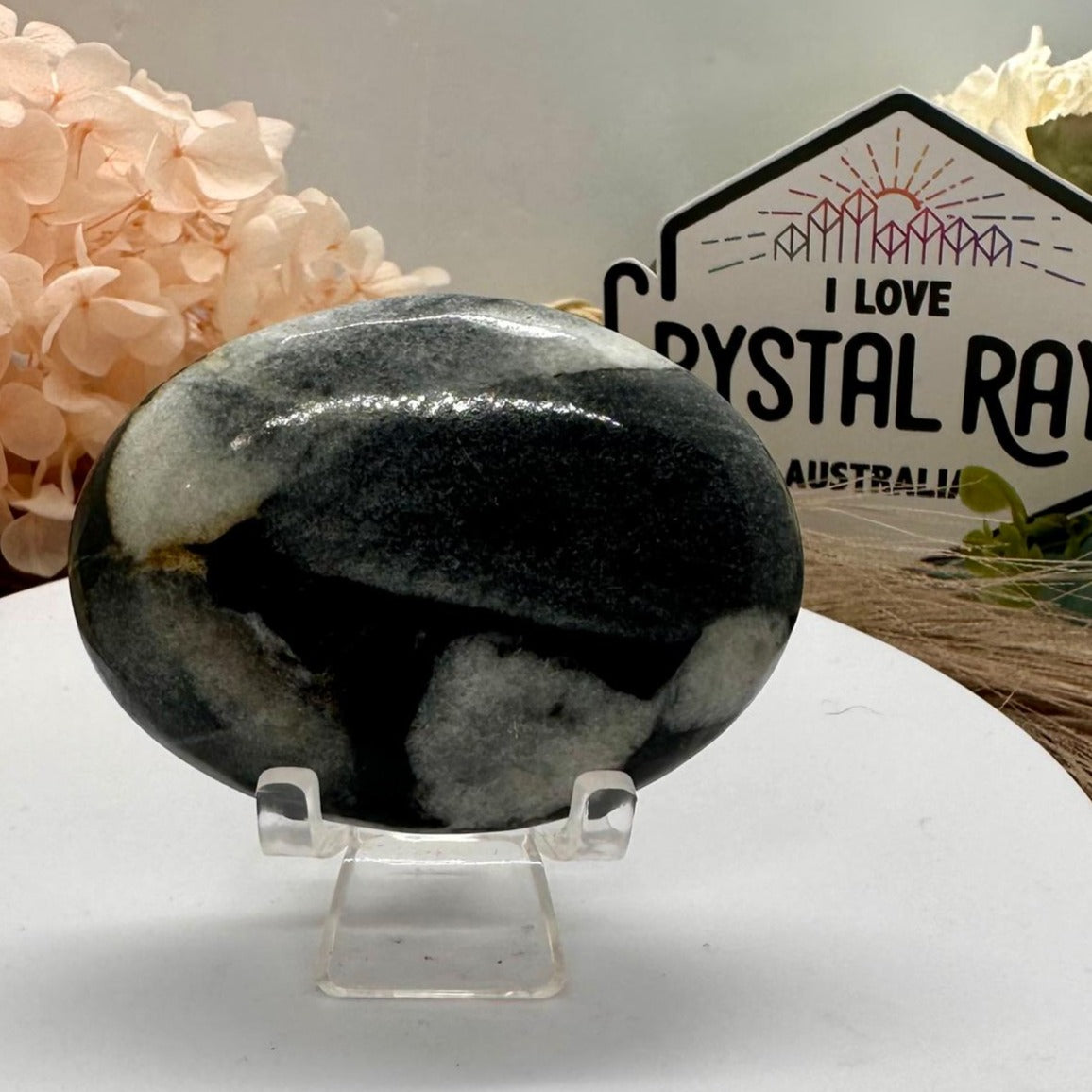 Shell Jasper Palm