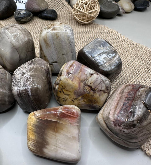 Petrified Wood Tumbles