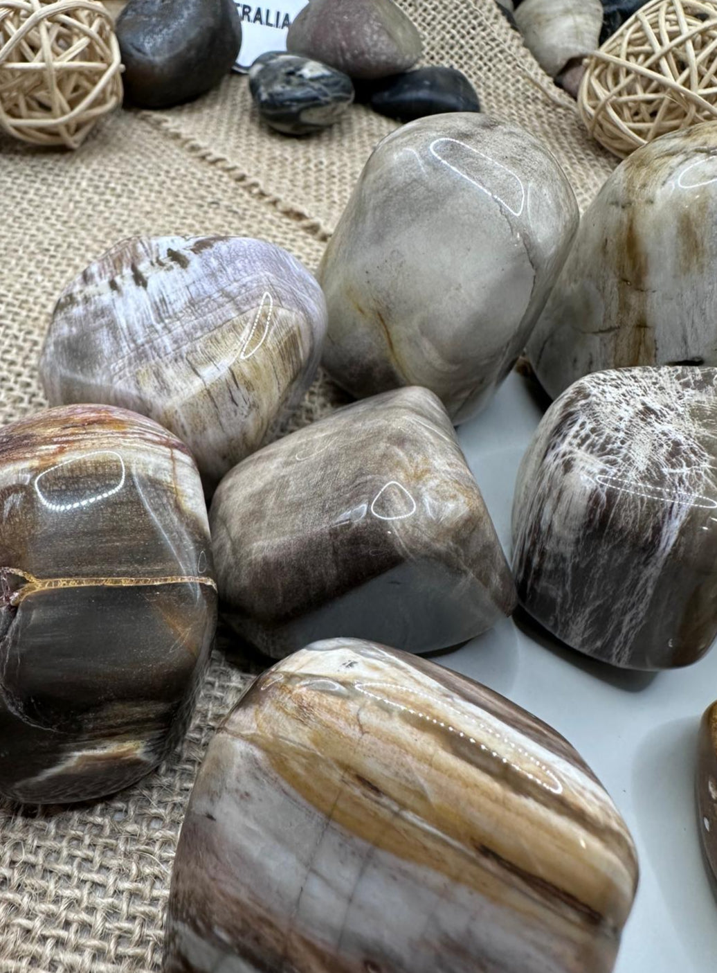 Petrified Wood Tumbles