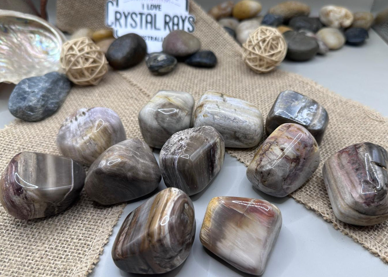 Petrified Wood Tumbles