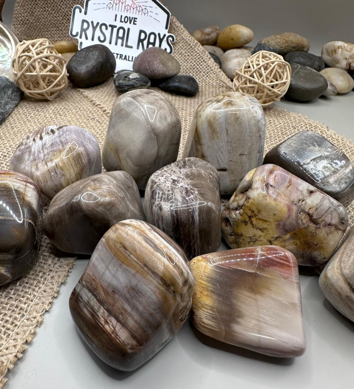 Petrified Wood Tumbles