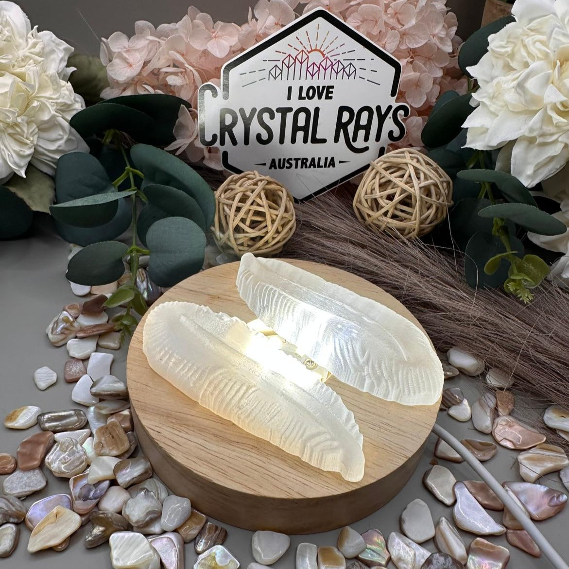 Selenite Feather Carving 43g