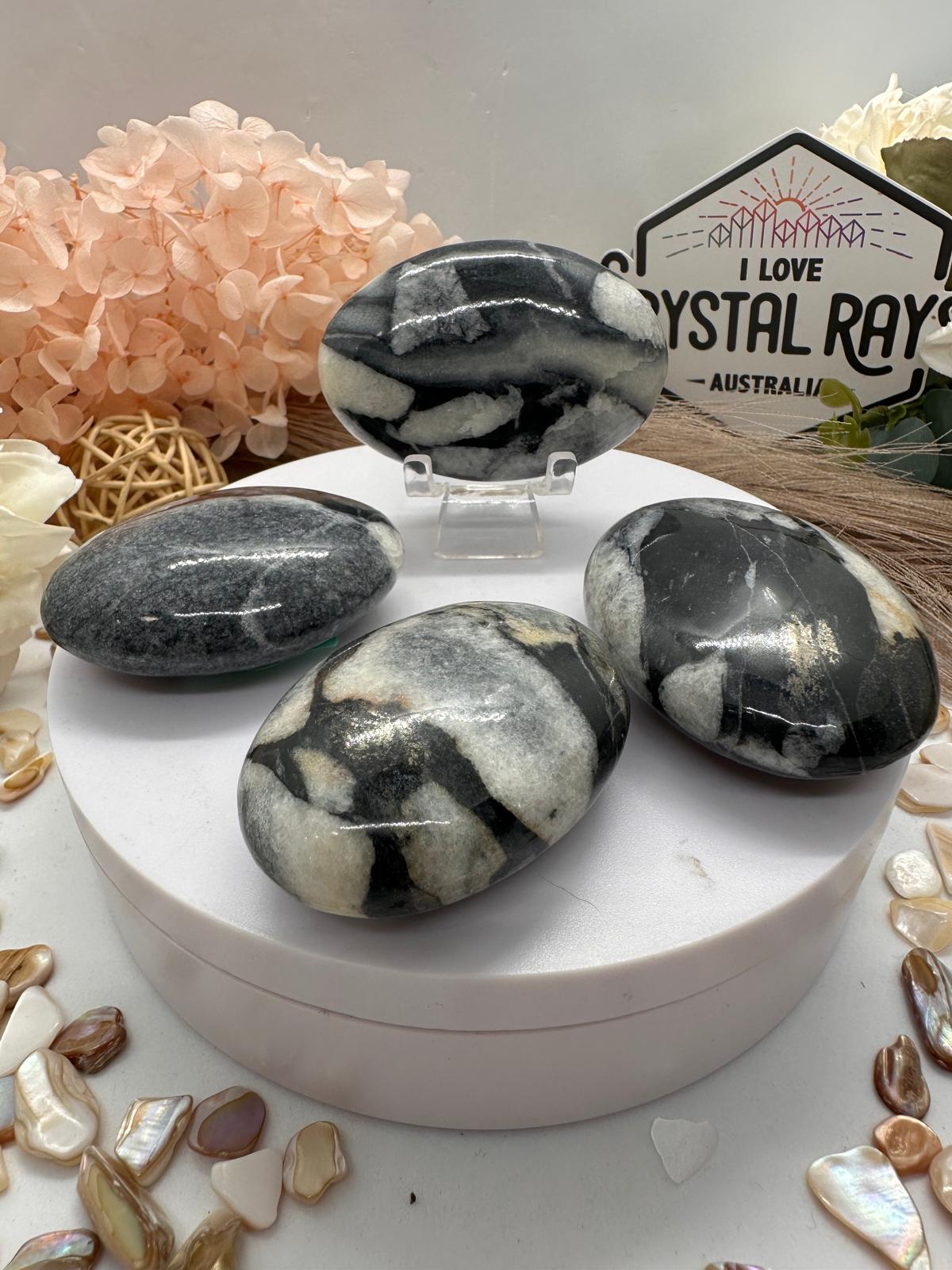 Shell Jasper Palm