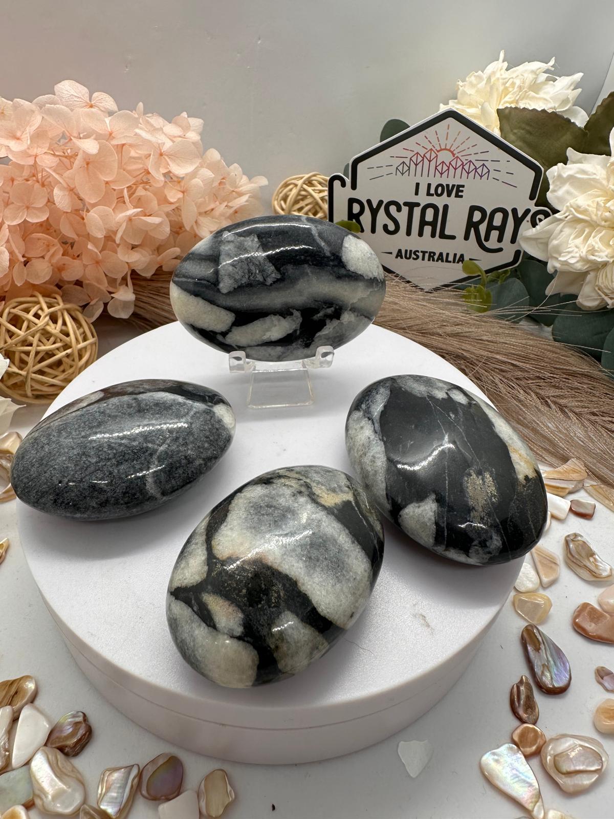 Shell Jasper Palm