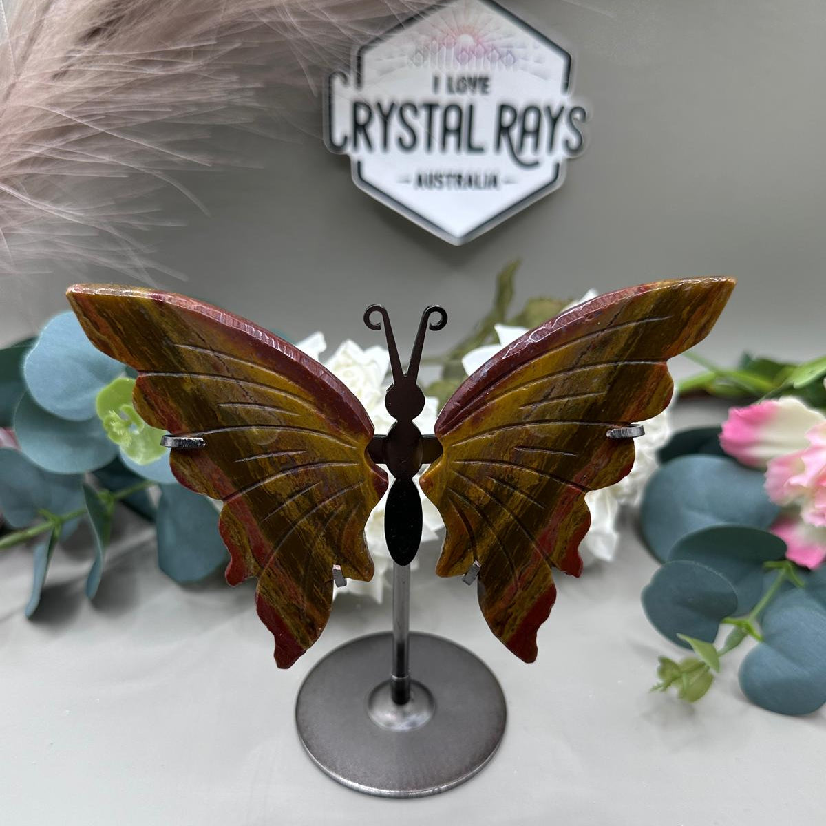 JASPER Butterfly