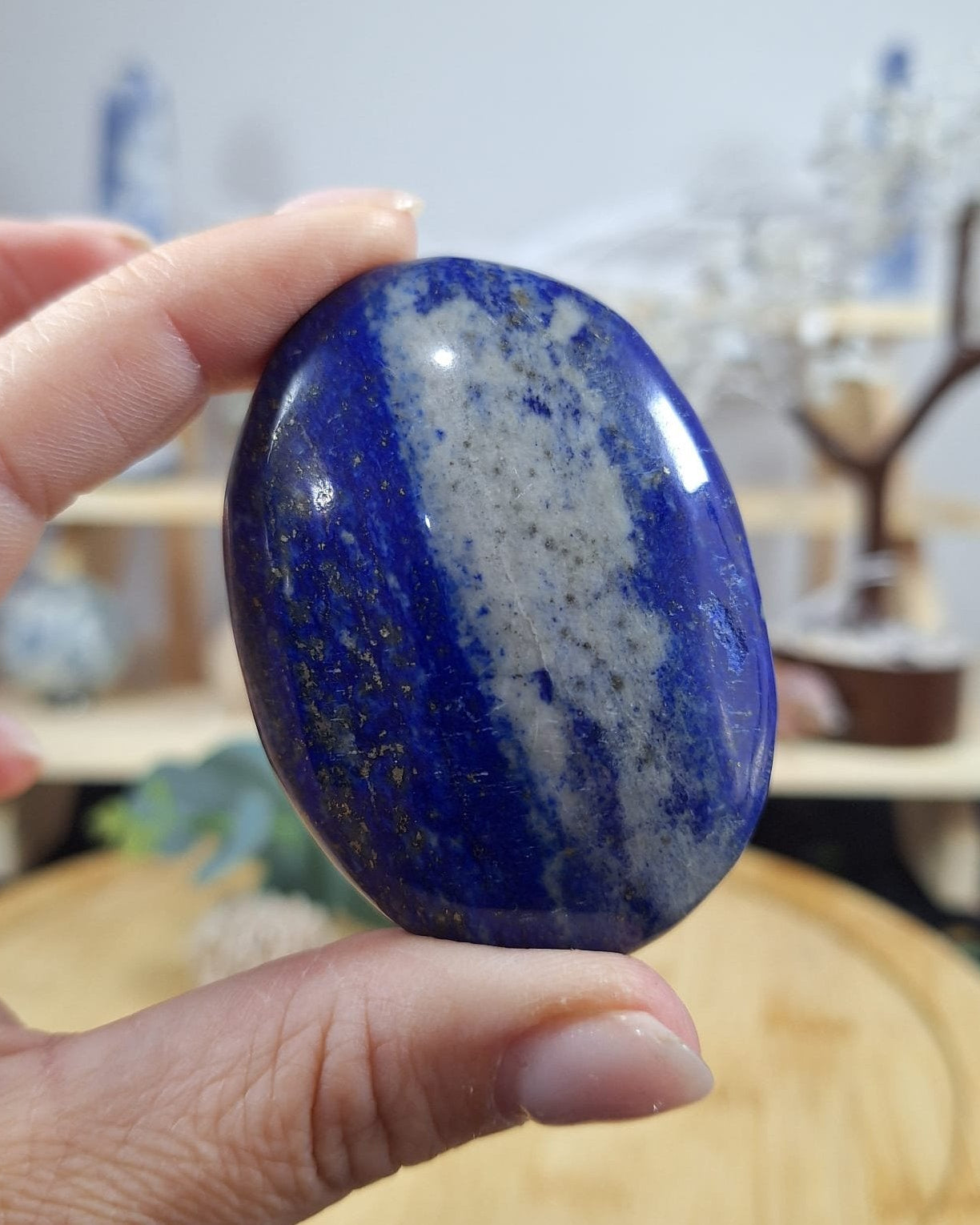 Lapis Lazuli Palm