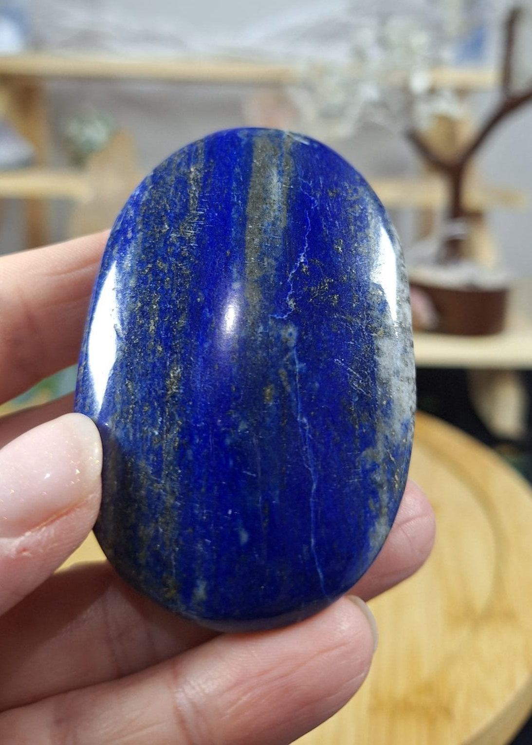 Lapis Lazuli Palm