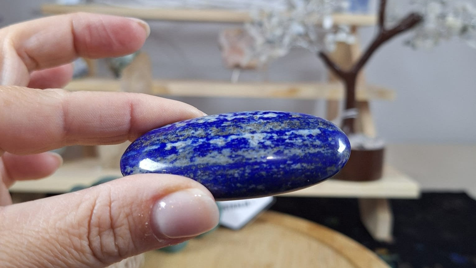 Lapis Lazuli Palm