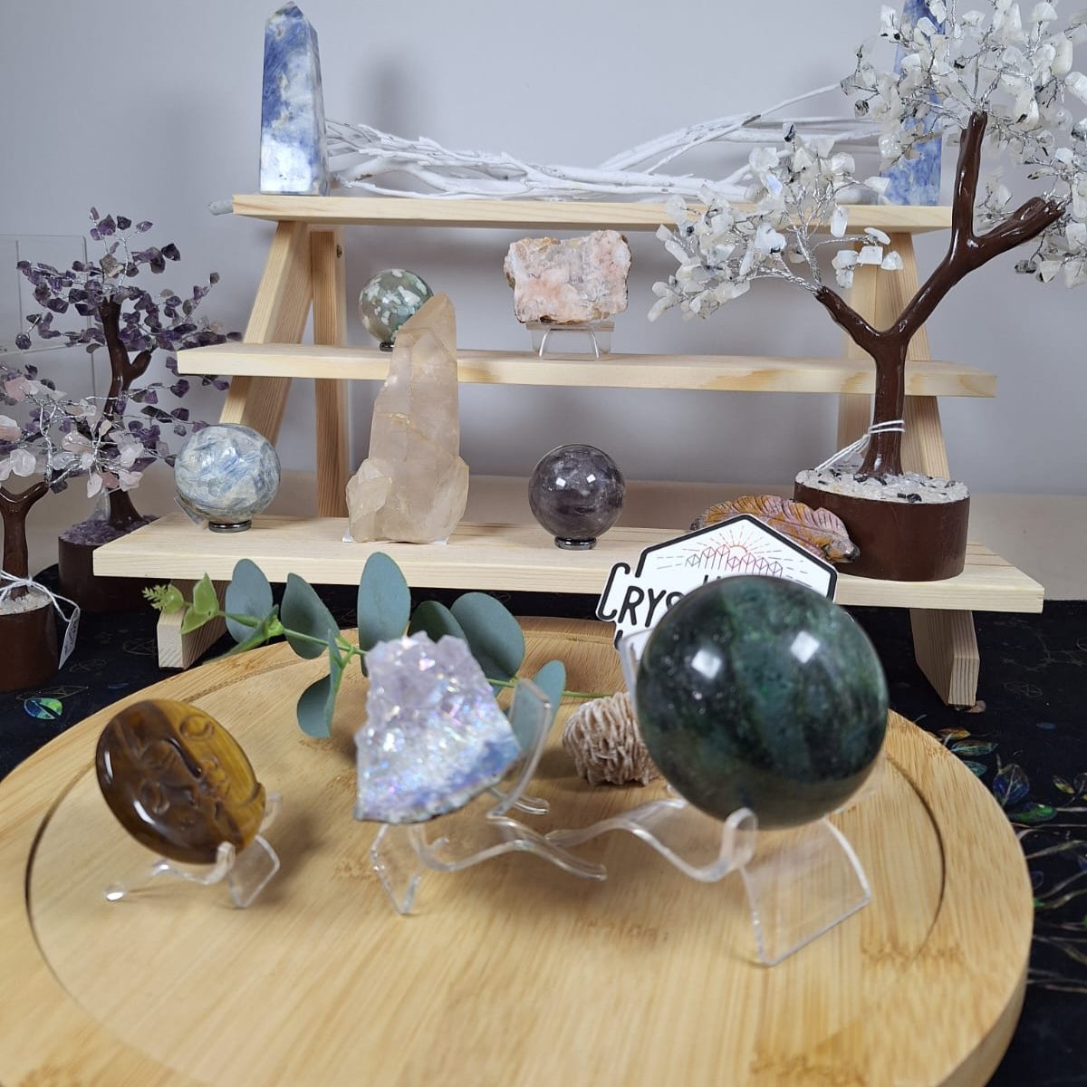 Medium Acrylic Stand