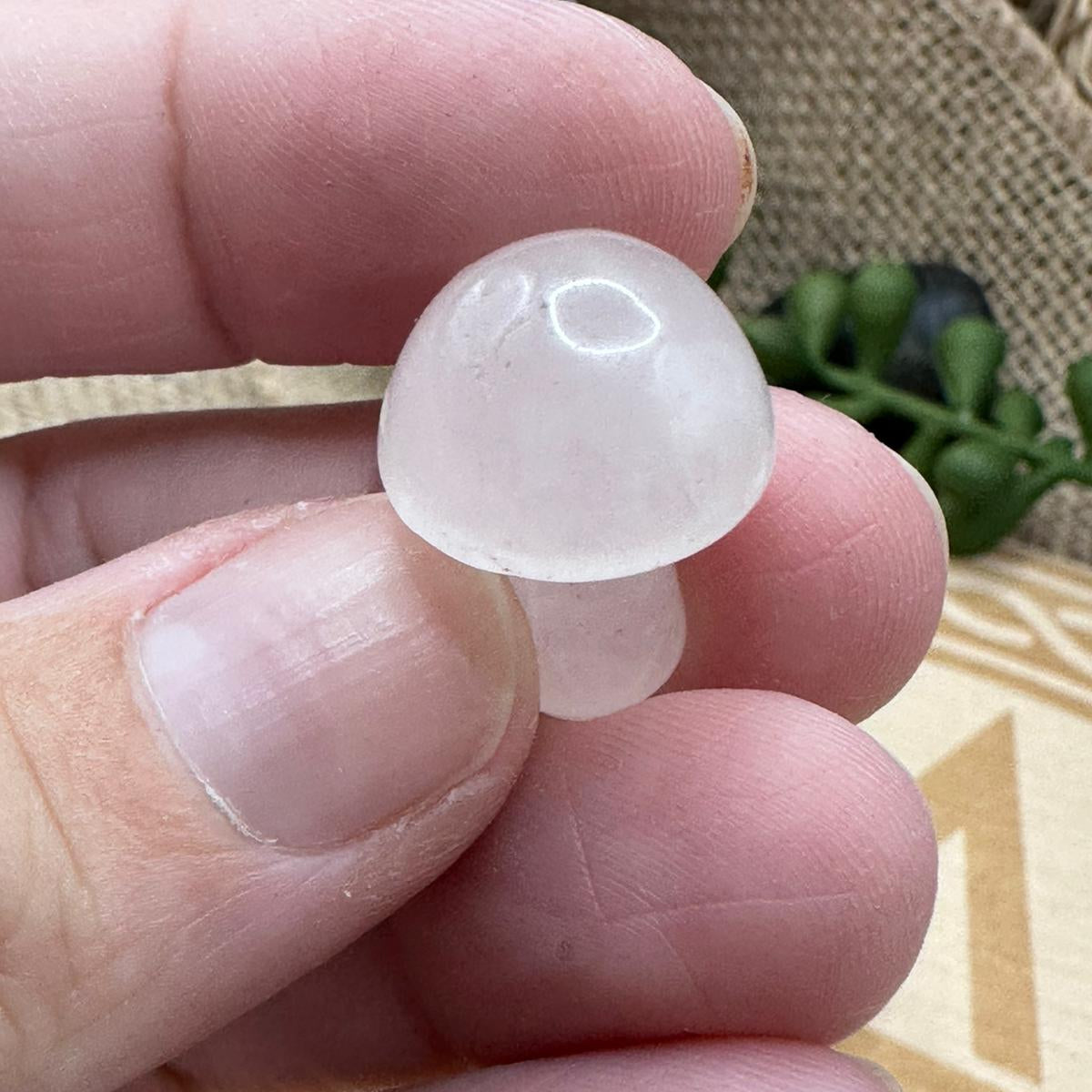 Rose Quartz Mushrooms