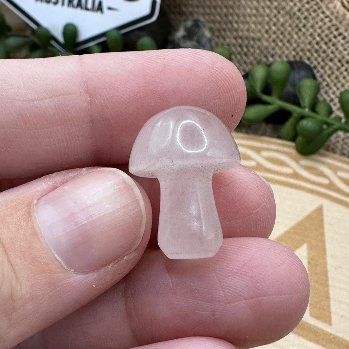 Rose Quartz Mushrooms