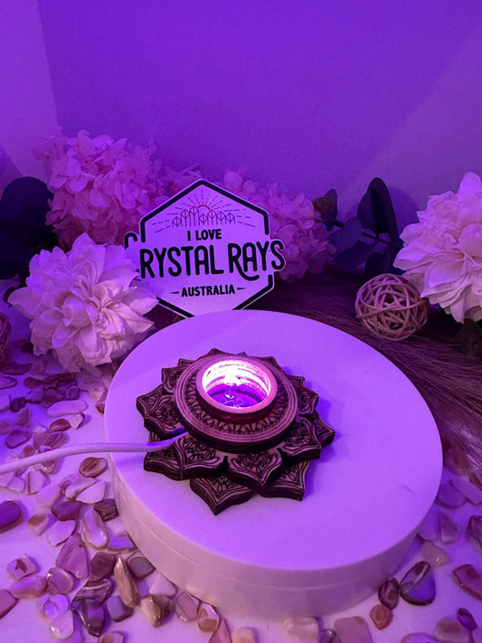 ✨Small Lotus Stands colour & white LED Light