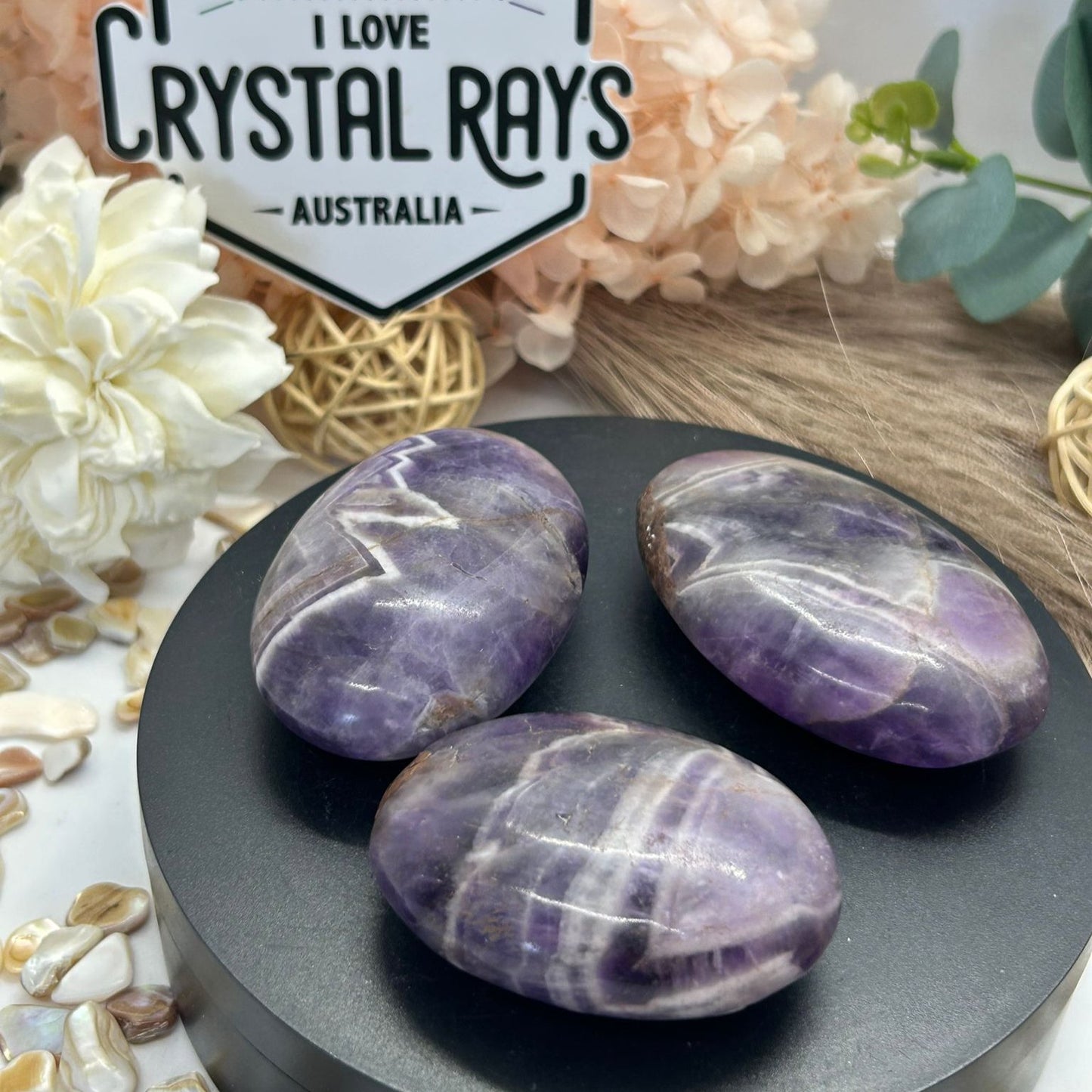 Dream Amethyst Palm