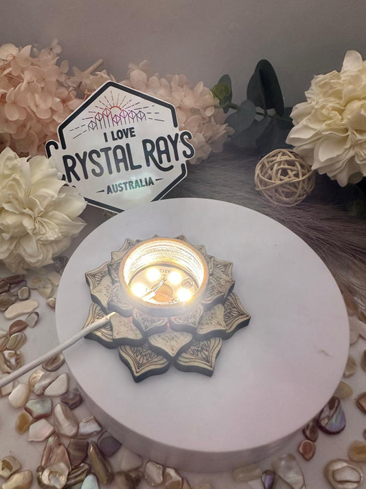 Small Lotus Stands ~ LED light