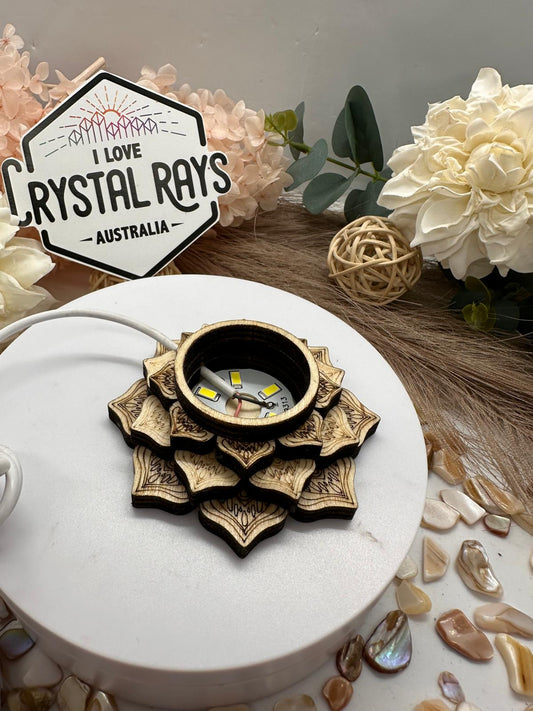 Small Lotus Stands ~ LED light