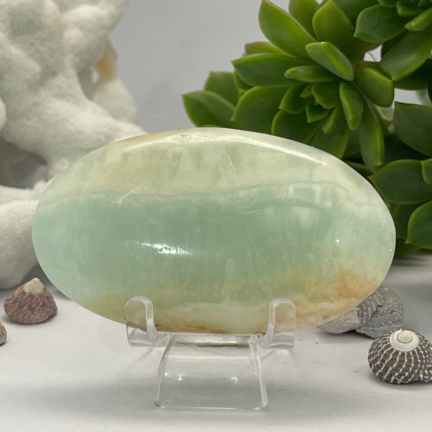 Caribbean Blue Calcite ~ Palm stone