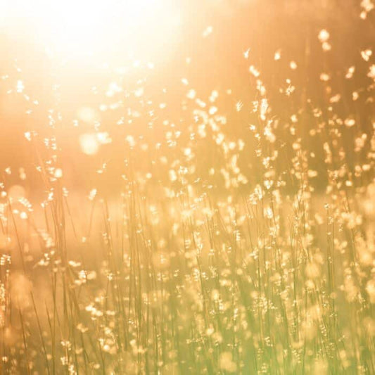 Charging Crystals with Sunlight