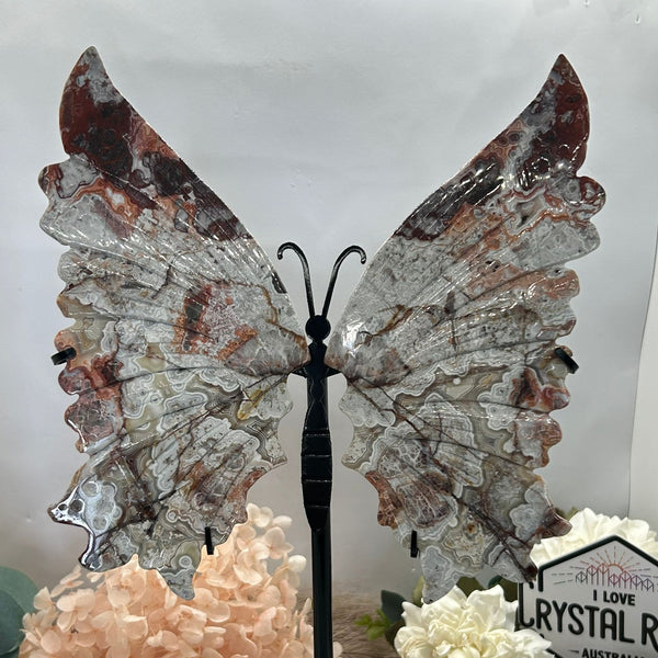 Mexican Agate Butterfly Wings with stand