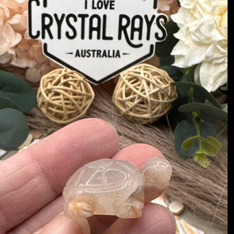 Flower Agate Mini Tortoise