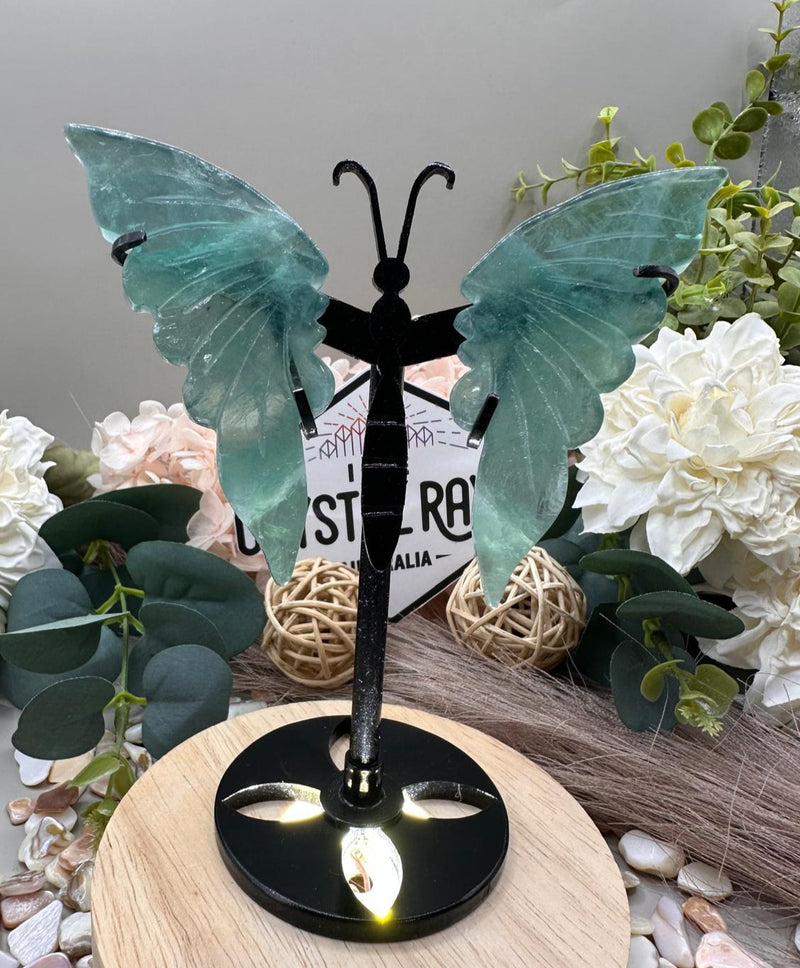 Fluorite Butterfly Wings (stand included)