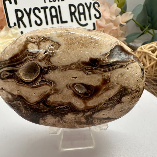Chocolate Calcite palm