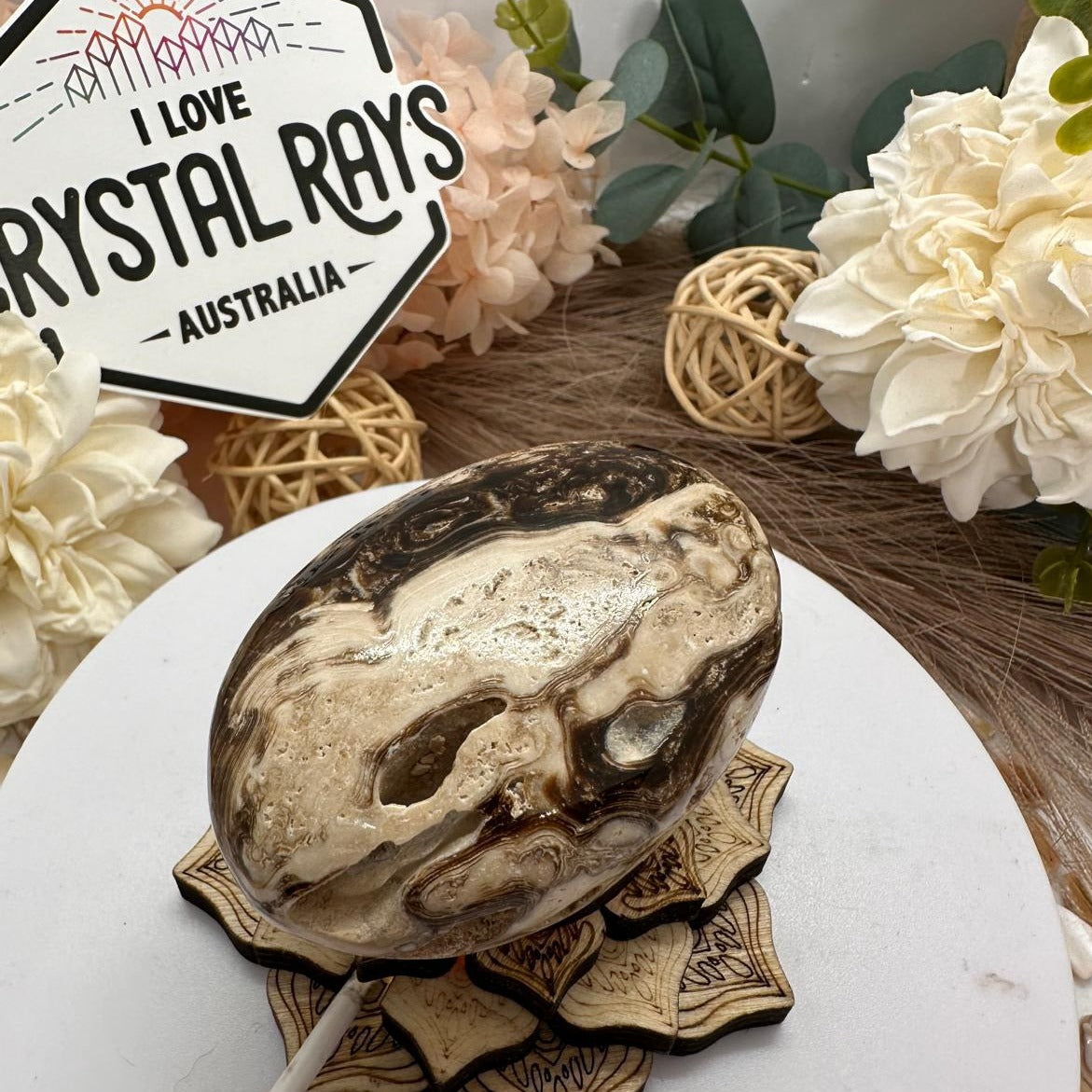 Chocolate Calcite palm