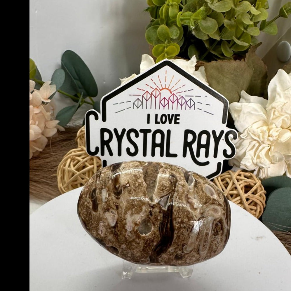 Chocolate Calcite palm