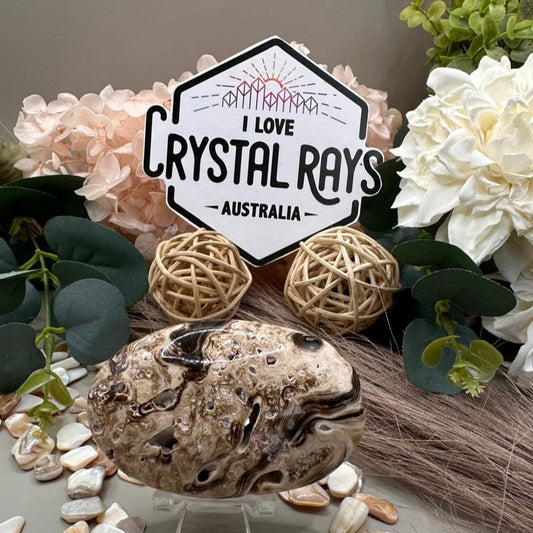 🤎 Chocolate Calcite ~ Palm Stone