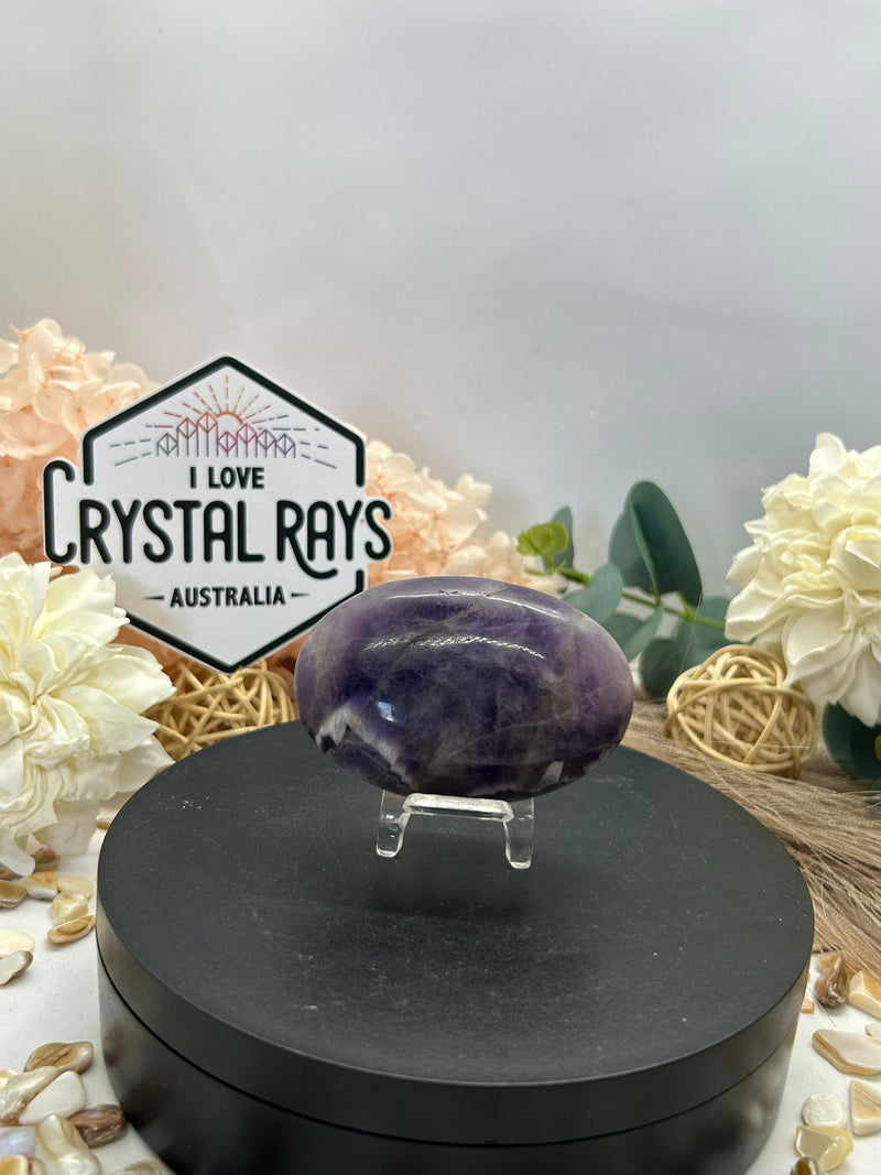 Dream Amethyst Palm